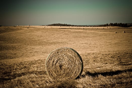 Wide angle shot of a field with haystacks with the focus on one in the foreground.