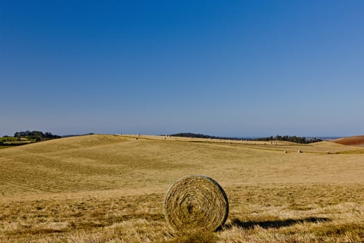 Circular hay bale in a newly cut agricultural field landscape under sunny blue sky