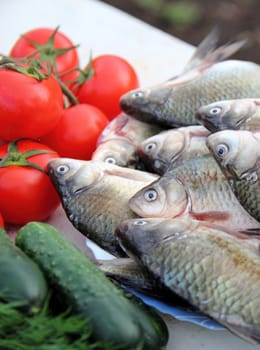 still life with fresh fish, herbs and vegetables on the nature