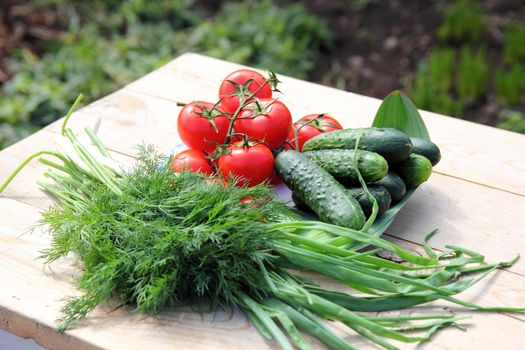 fresh vegetables and greens lying on the table