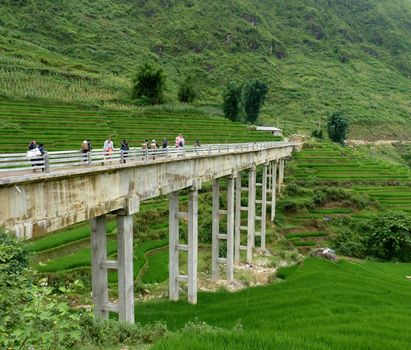 Amazing Bridge In Sapa Mountains In North of Vietnam near China