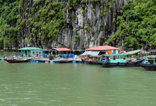 Fishermen Floating Village On Famous Halong Bay In North Of Vietnam