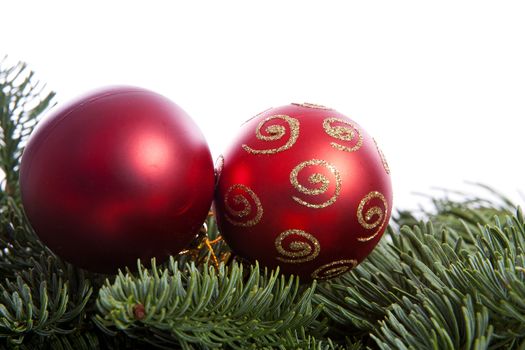 Closeup of two red Christmas balls on pine tree over white background