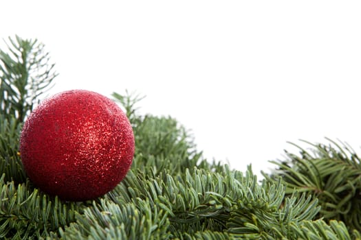 Red Christmas ball on pine tree over white background
