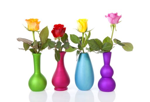 Colorful roses in vases over white background