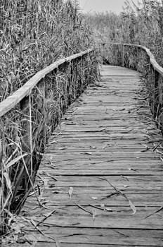 Path covered by wood