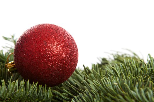 Red Christmas ball on pine tree over white background