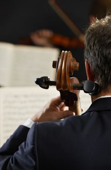 Symphony, cellist on foreground playing at the concert