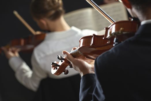 Violinists playing at the concert, rear view