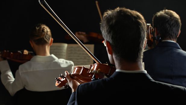 Violinists playing at the concert, rear view