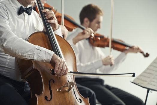 Cellist and violinist playing at the concert