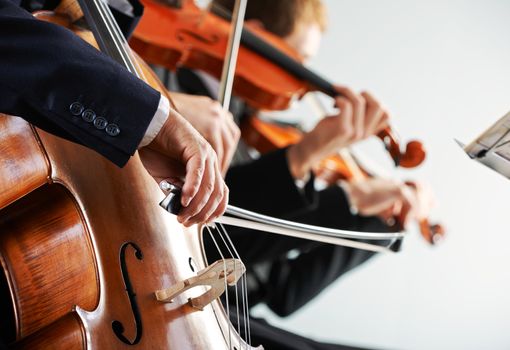 Cellist and violinist playing at the concert