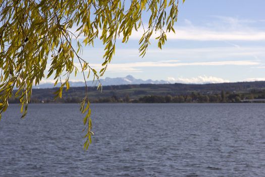 lake of constance with view to switzerland 