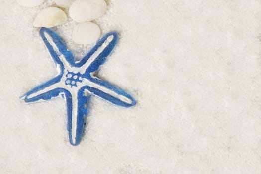 blue starfish on sand with stones 