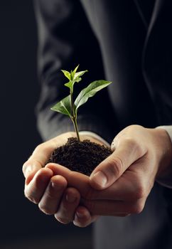 Businessman with seedling in his hands