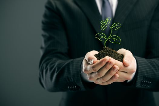 Businessman with seedling in his hands