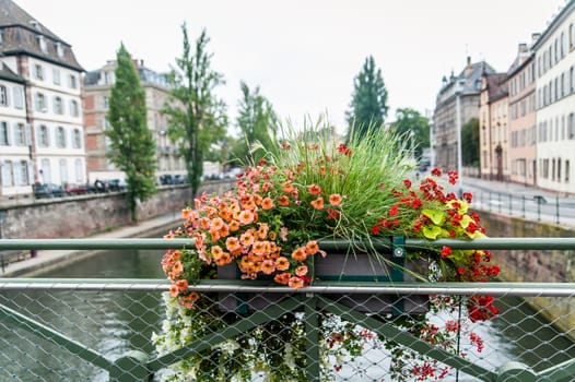 Flower on a Bridge of a canal in Strasbourg, France