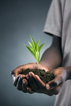 African boy with seedling in his hands