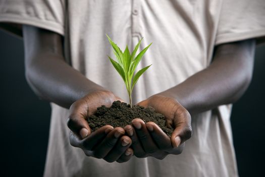 African boy with seedling in his hands