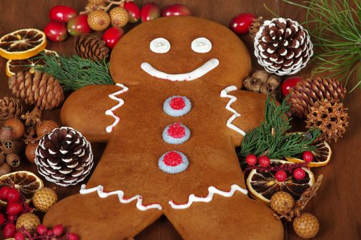 Gingerbread man with Christmas potpourri