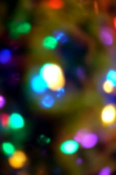 Christmas holiday lights on green tree as defocused background