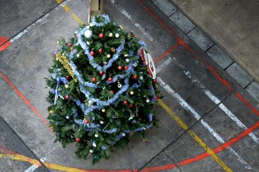 Christmas tree 