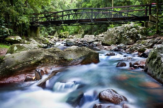 Refreshing river in the middle of the forest