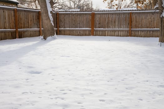 View of a backayard covered in snow. Includes a lot of blank space in the snow for copyspace