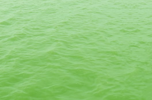 In the open tropical sea , green water surface