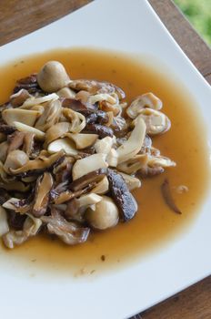 Stir fried  mushroom with oyster sauce on dish
