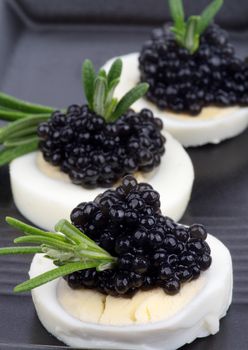 Snacks with Gourmet Black Caviar, Boiled Eggs and Rosemary In a Row closeup on Black Plate