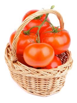 Fresh Ripe Tomatoes with Stems and Twigs in Wicker Basket isolated on white background