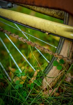 The Rusty Chain And Wheel Of An Abandoned Bike