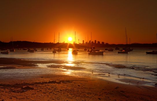 The summer sun setting over Watsons Bay, near Vaucluse, Sydney, Australia. Silhouette of moored yachts and Sydney city in distance