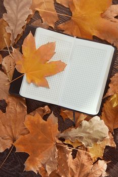 Close-up view on a blank notepad with autumn leaves
