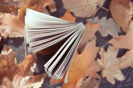 Close-up view on a book with autumn leaves