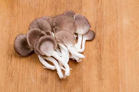 pile of mushroom - Indian Oyster on wooden plate