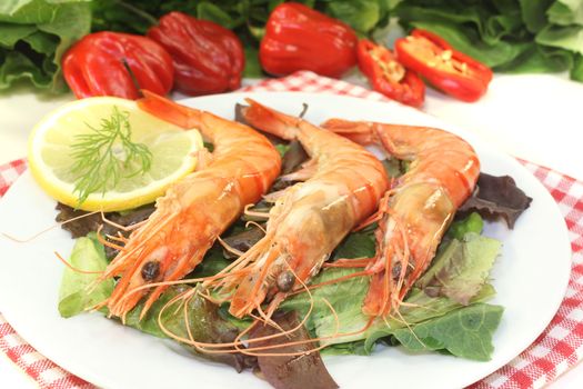 fresh orange prawns on salad with lemon and dill