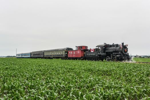 Old train passing through a large field during sunny day