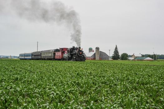 Old train passing through a large field during sunny day