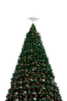 Christmas tree isolated on white background