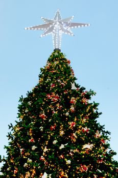 Christmas tree with lighting and ornament