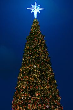 Christmas tree with lighting and ornament