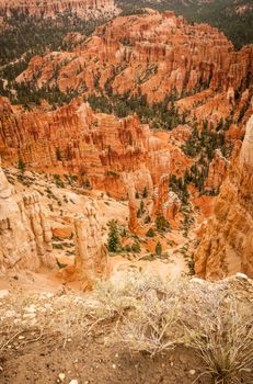 Canyon Bryce rocks and trees amphitheater west USA utah 2013