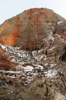 Landscape scenery of Zion National Park in southwest Utah