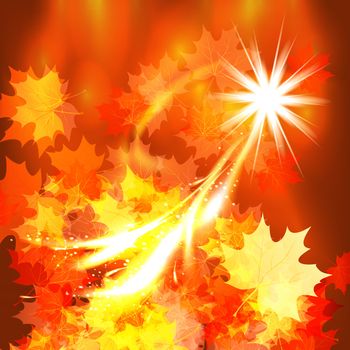 Autumn leaves design background.