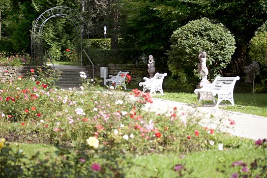 park with flowers, trees, bench and way