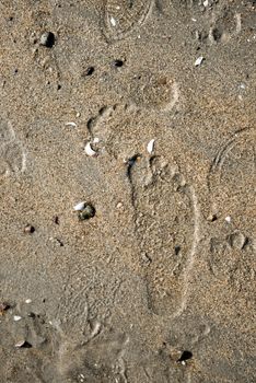 Human foot prints on a naturally wet beach 