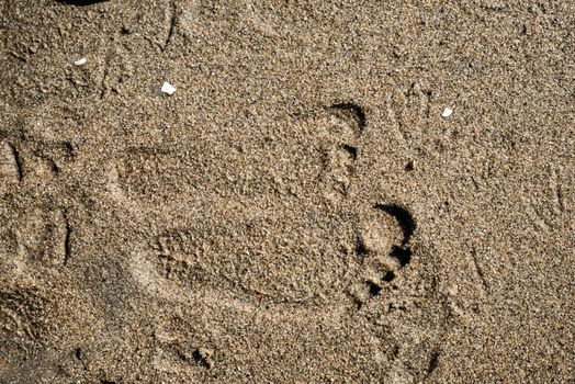 Human foot prints on a naturally wet beach 