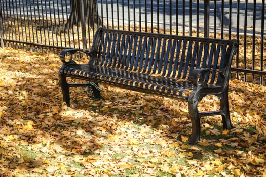 Metal bench in a park with fallen leafs during autumn